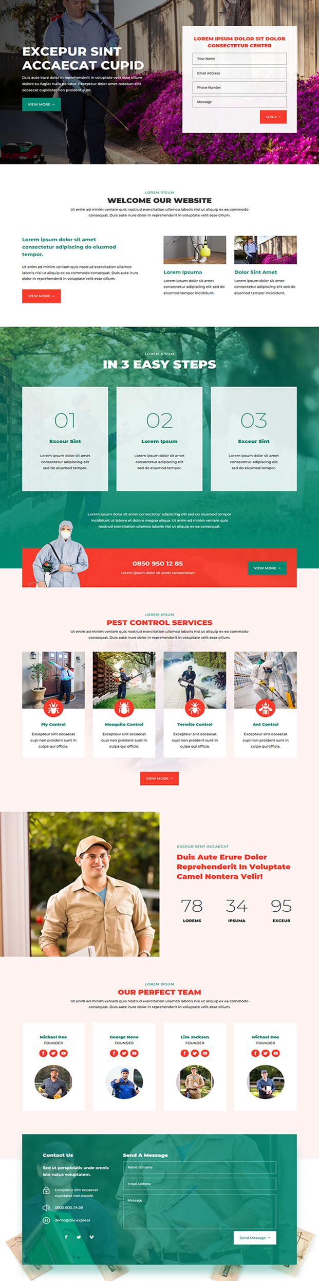Net Power Layout - Pest Control Website Design